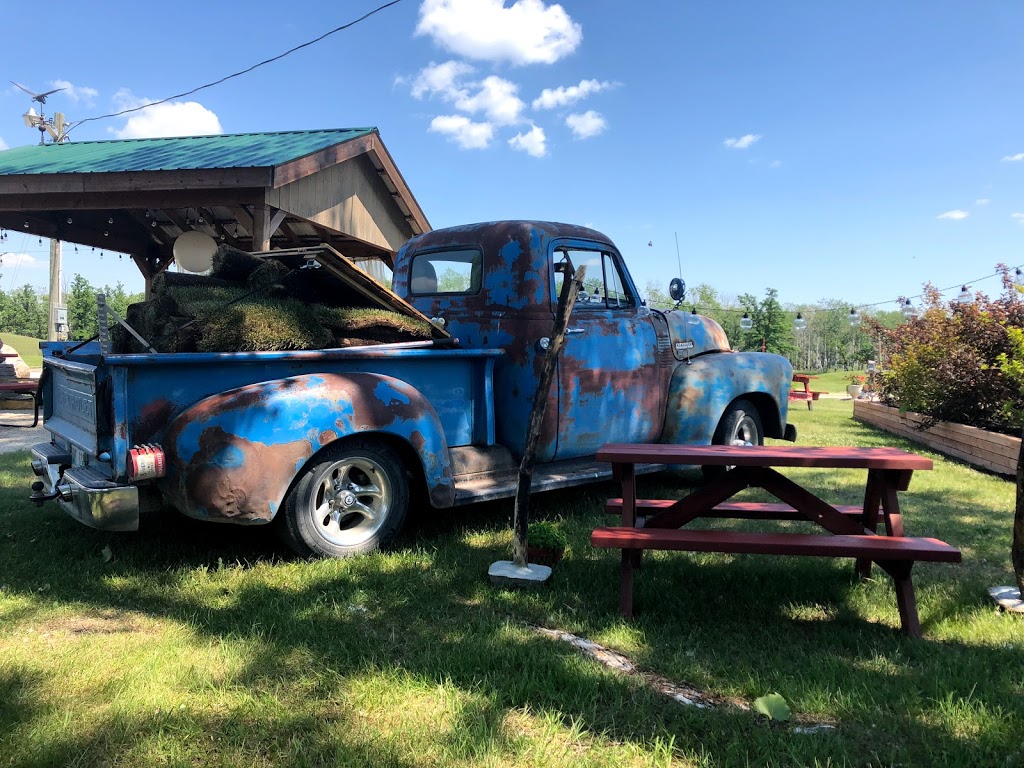 Rosengard Haven | 28050 Road 31N, Kleefeld, MB R0A 0R0, Canada