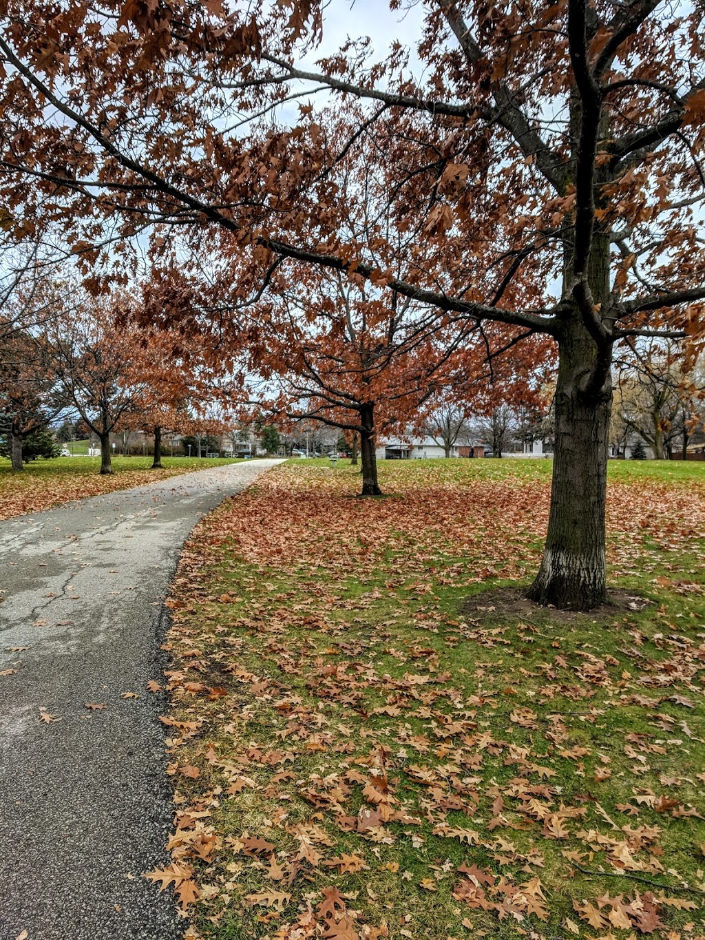 Cedarbrook Park | 1095 Runningbrook Dr, Mississauga, ON L4Y 2T3, Canada