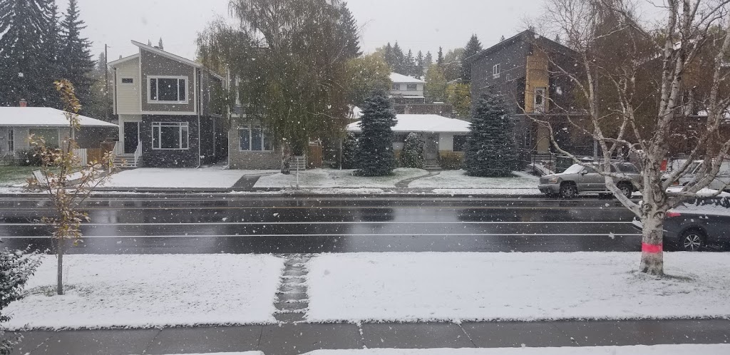 parthenonhomeservices | 103 Cambrian Dr, Calgary, AB T2K 1P5, Canada | Phone: (403) 837-0705