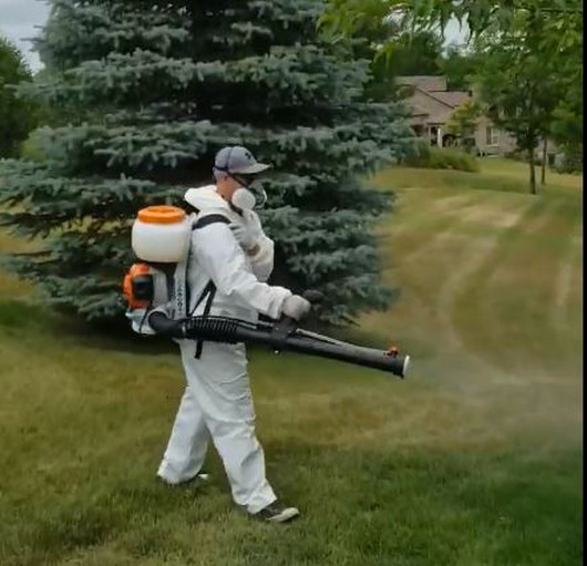 Pest Kings Wildlife & Pest Control Bradford | 5, 450 Holland St W Suite 117, Bradford, ON L3Z 0J4, Canada | Phone: (647) 988-5034
