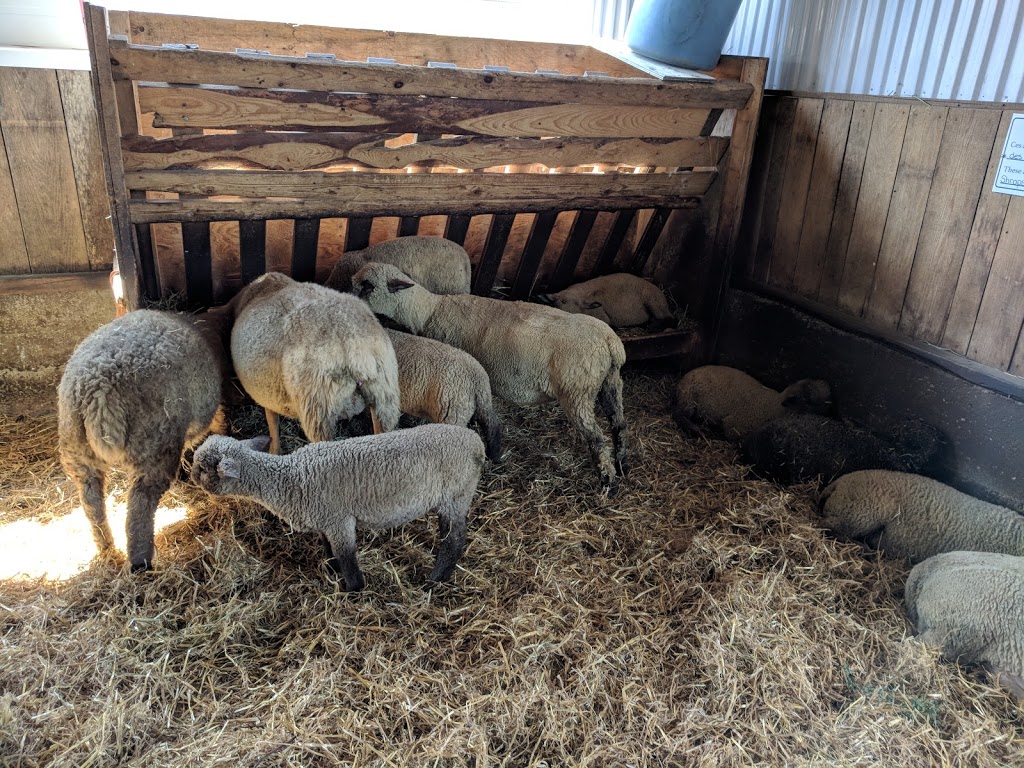 Quinn Farm | 2495 Boulevard Perrot, Notre-Dame-de-lÎle-Perrot, QC J7V 8P4, Canada | Phone: (514) 453-1510