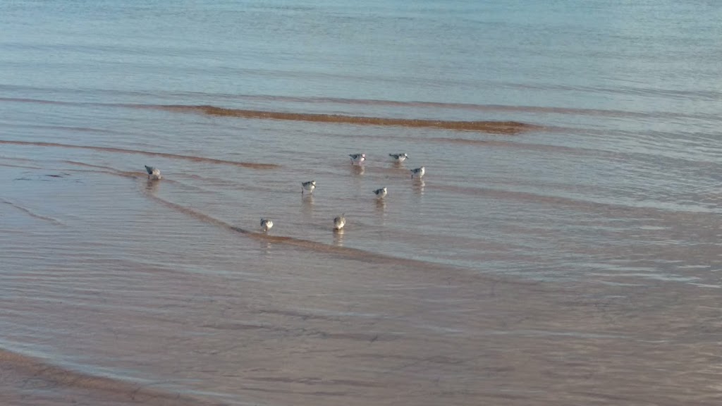 Dune-Spirit Cottages | 57 Mayflower Ct, Morell, PE C0A 1S0, Canada | Phone: (902) 675-3784