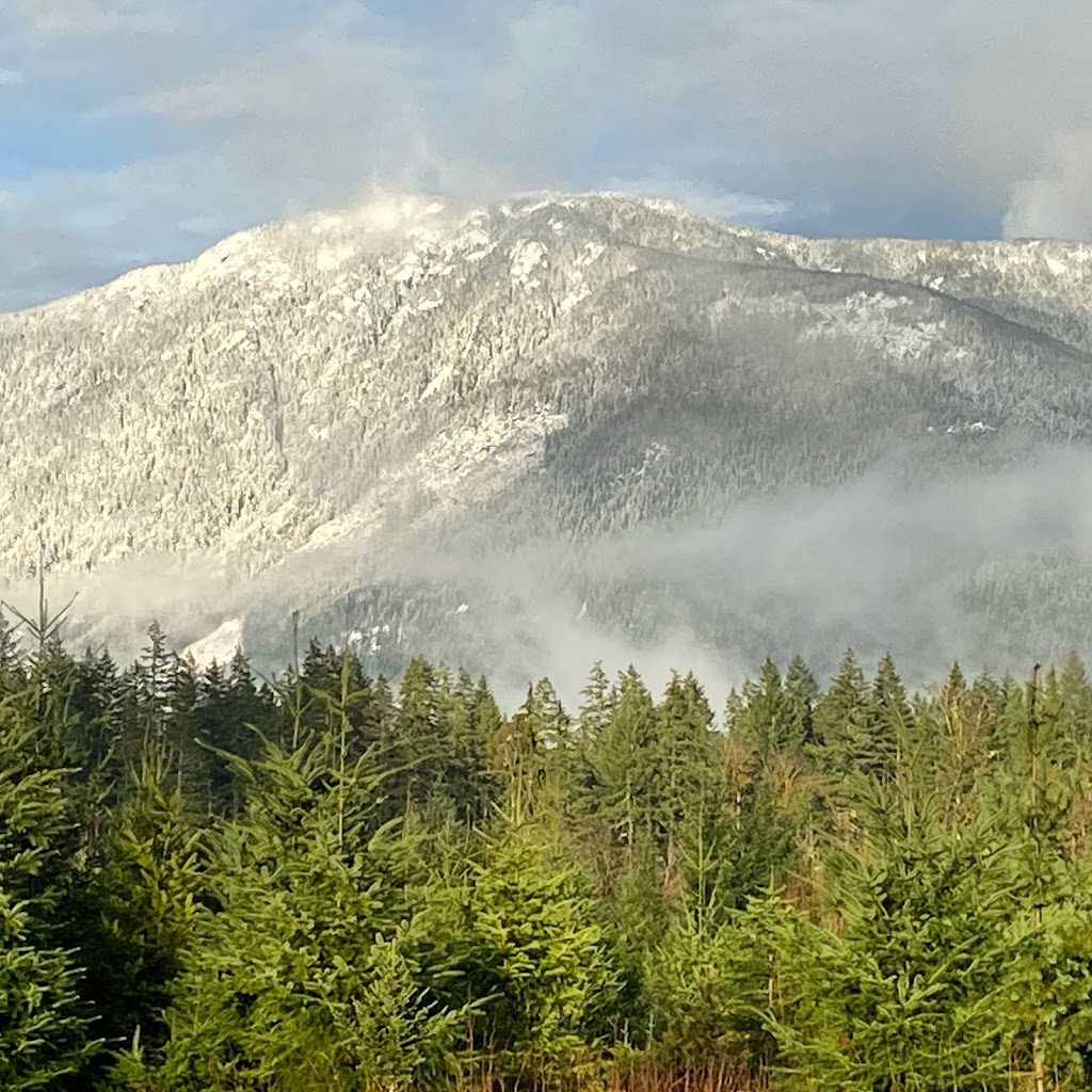 Alberni Christmas Trees | 7374 Airport Rd, Port Alberni, BC V9Y 8Y9, Canada | Phone: (403) 597-2269