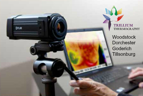 Trillium Thermography | 3944 Hamilton Rd, Dorchester, ON N0L 1G2, Canada | Phone: (519) 269-3226