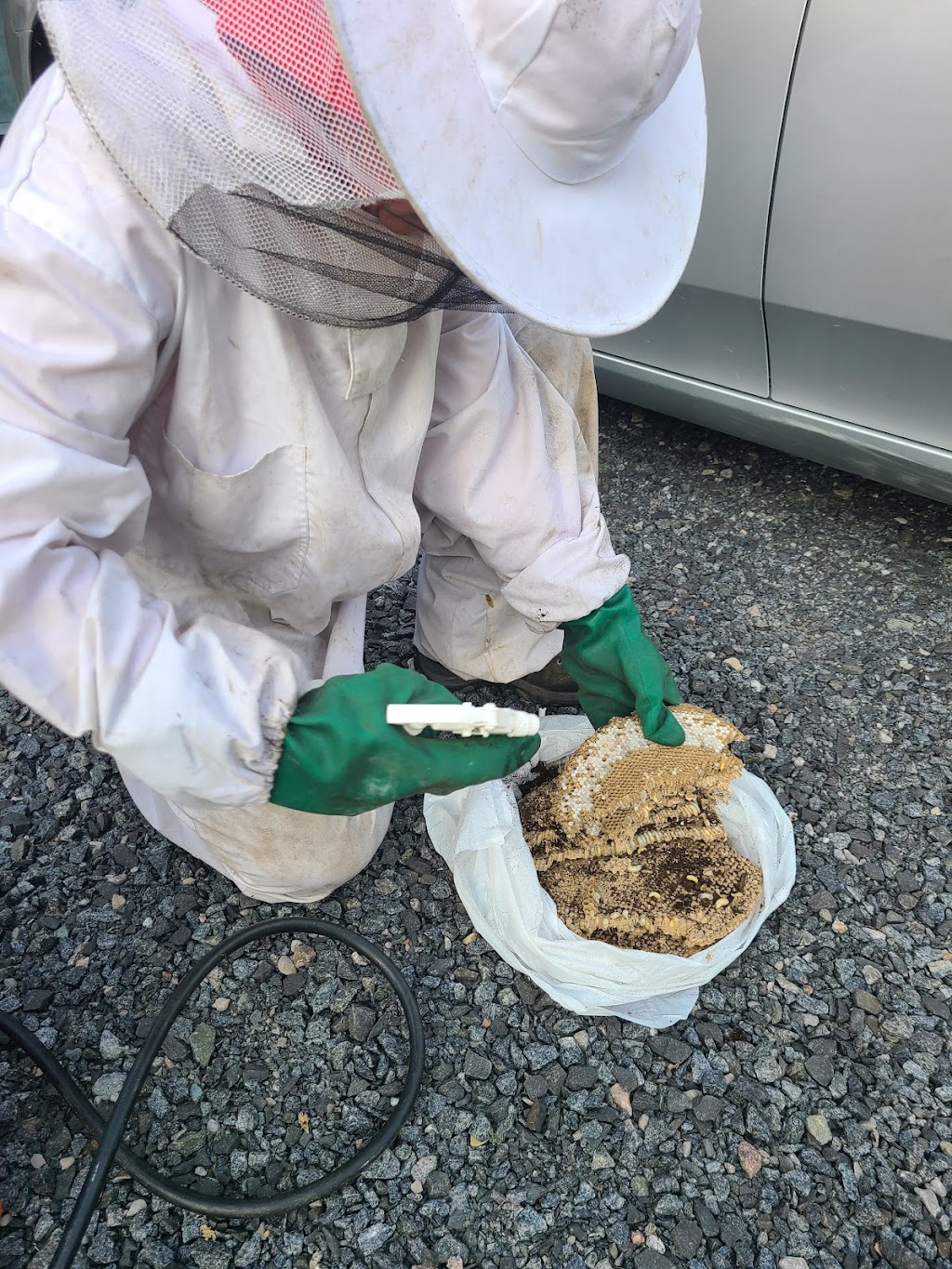 V Extermination - Exterminateur Alma | 1005 Rte du Lac O, Alma, QC G8B 5V2, Canada | Phone: (418) 662-3269