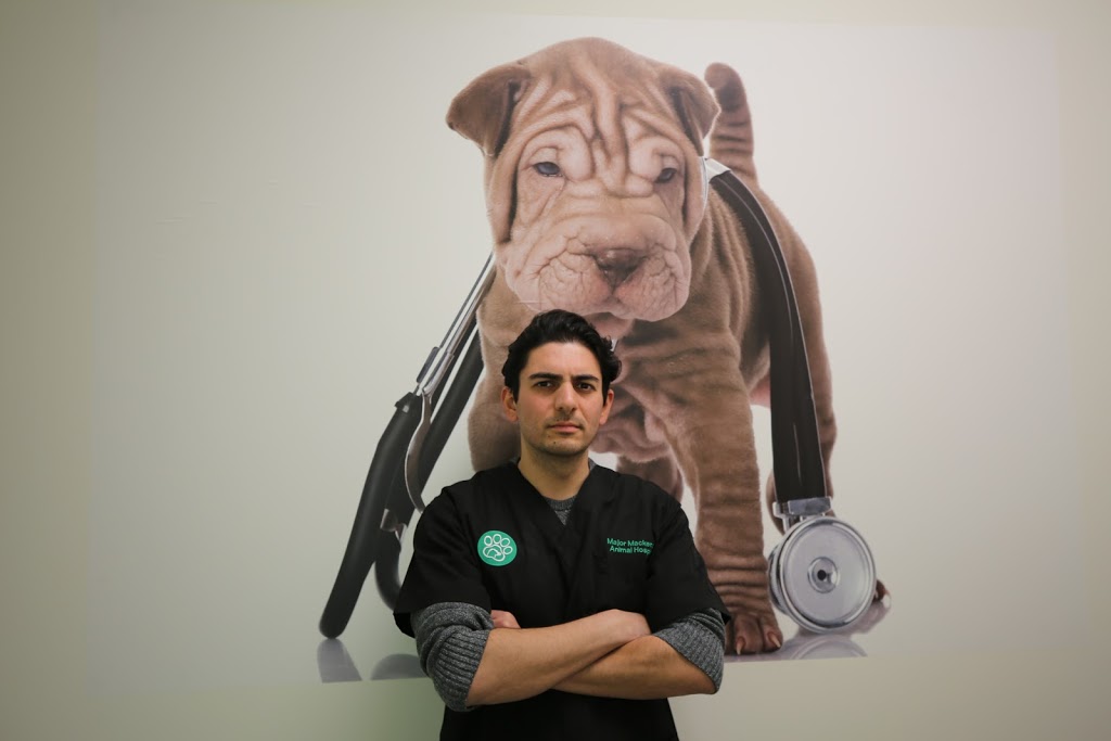 Major Mackenzie Animal Hospital | 3737 Major MacKenzie Dr W, Woodbridge, ON L4H 3C8, Canada | Phone: (647) 297-8141