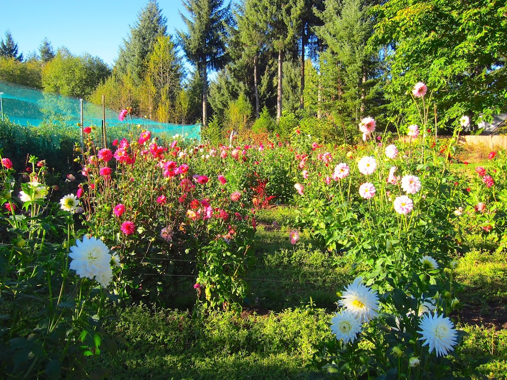 Ravens Moon Craft Cidery | 4905 Darcy Rd, Courtenay, BC V9J 1R5, Canada | Phone: (250) 338-9765