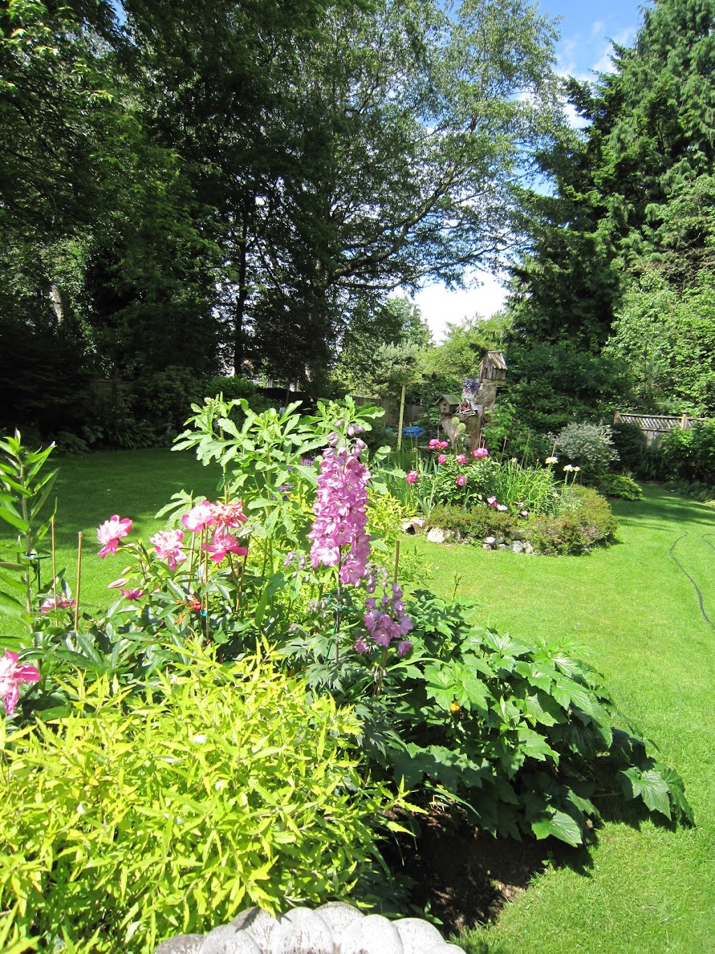 Mikes Landscaping Services | 43201 Lougheed Hwy., Deroche, BC V0M 1G0, Canada | Phone: (778) 227-4928
