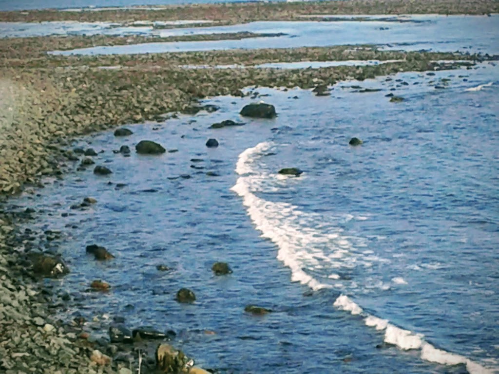 Hartlen Point Forces Golf Club | 2400 Shore Rd, Shearwater, NS B0J 3A0, Canada | Phone: (902) 465-4653