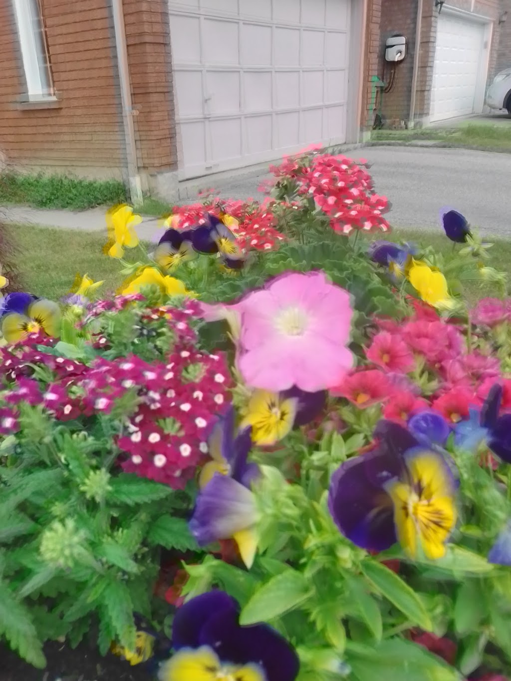 Fallingbrook Middle School | 5187 Fallingbrook Dr, Mississauga, ON L5V 1N7, Canada | Phone: (905) 812-7470