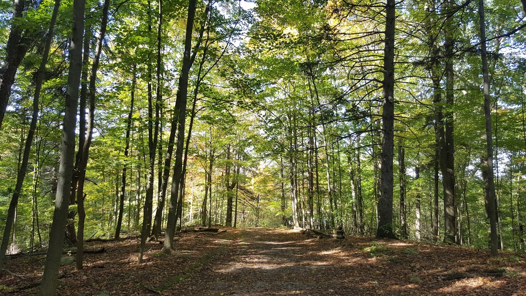 Reservoir Park | 59 Woods Edge Close, London, ON N6K 4K8, Canada