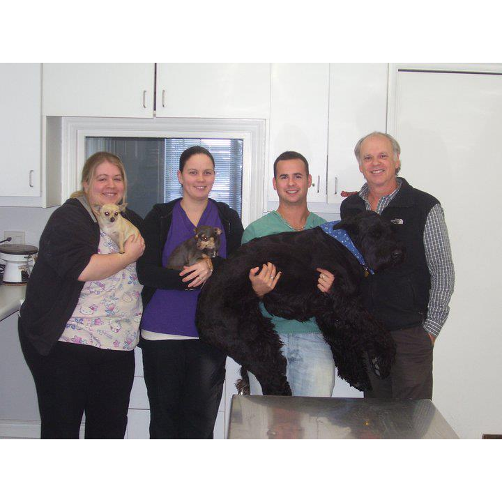Markham Road Animal Hospital | 900 Markham Rd, Scarborough, ON M1H 2Y2, Canada | Phone: (416) 438-1751