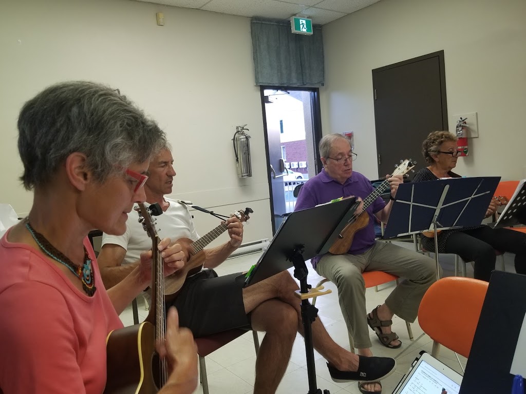 Centre culturel Bienville | 3500 Boulevard Mountainview, Saint-Hubert, QC J3Y 5N5, Canada | Phone: (450) 445-7769