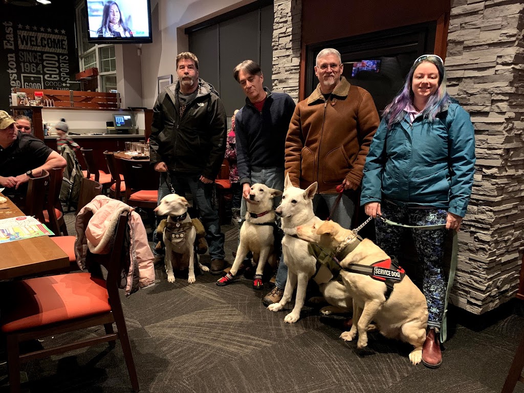 Thames Centre Service Dogs | 23698 Sutherland Rd, Mount Brydges, ON N0L 1W0, Canada | Phone: (519) 318-4658