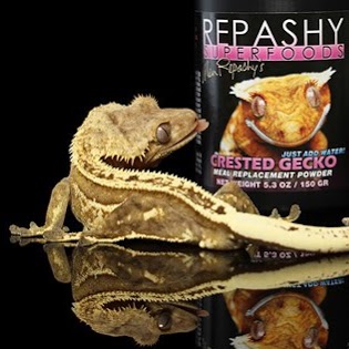 Repashy Foods | 306 J. J. Thiessen Way, Saskatoon, SK S7K 5P4, Canada | Phone: (306) 361-3259
