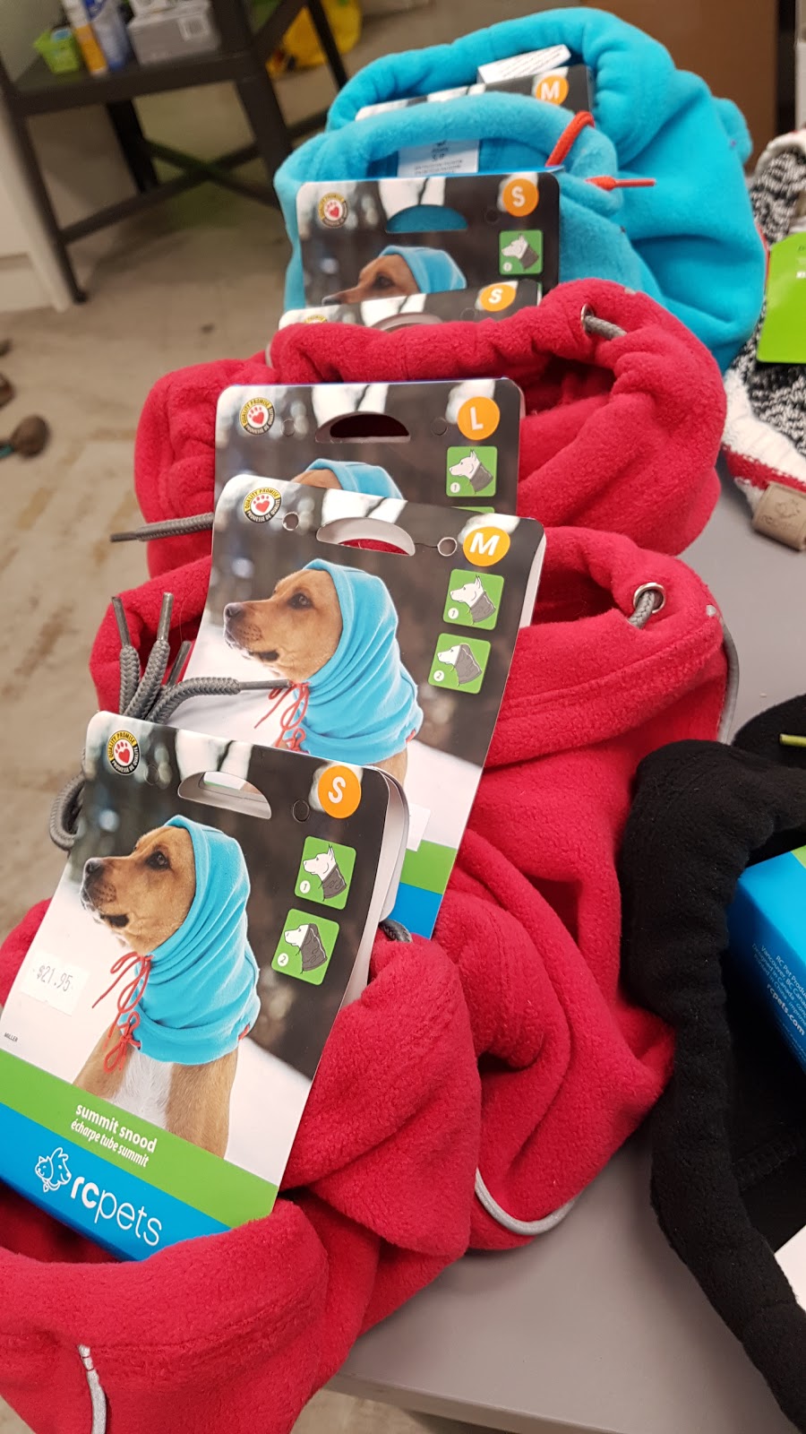 Discover Dogs | 701 Kingsway, Vancouver, BC V5T 3K6, Canada | Phone: (604) 428-3647