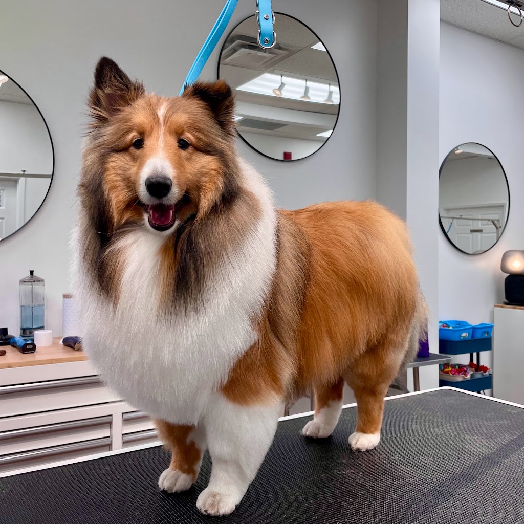 Bark N Bath Grooming | 728 Anderson St, Whitby, ON L1N 3V6, Canada | Phone: (905) 665-5550