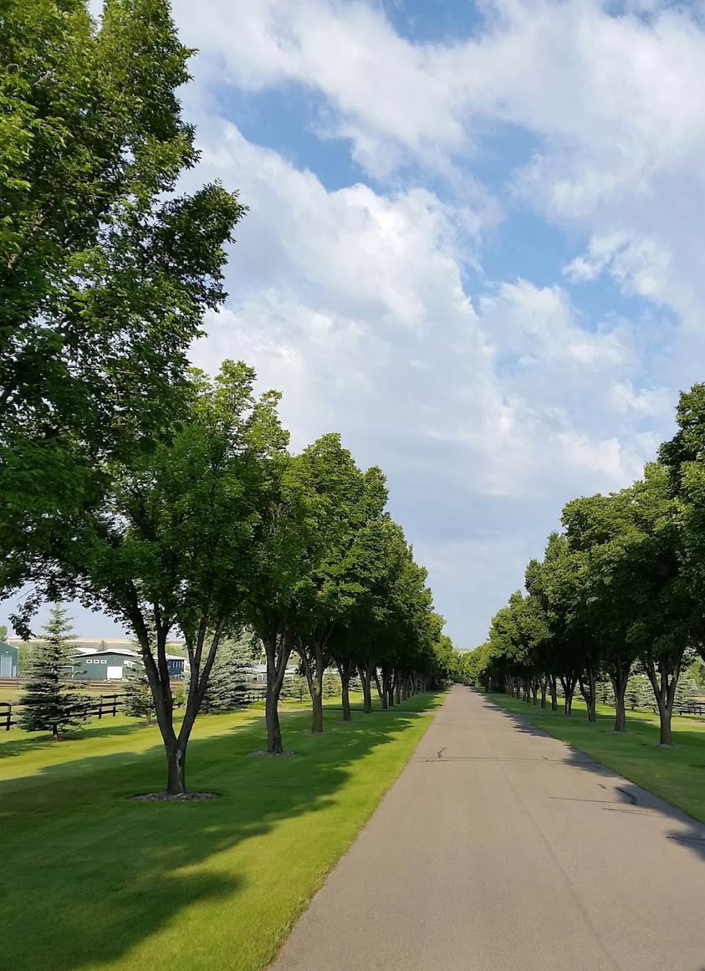 Highfield Stock Farm Inc | 402007 96 St E, Aldersyde, AB T0L 0A0, Canada | Phone: (403) 652-1185
