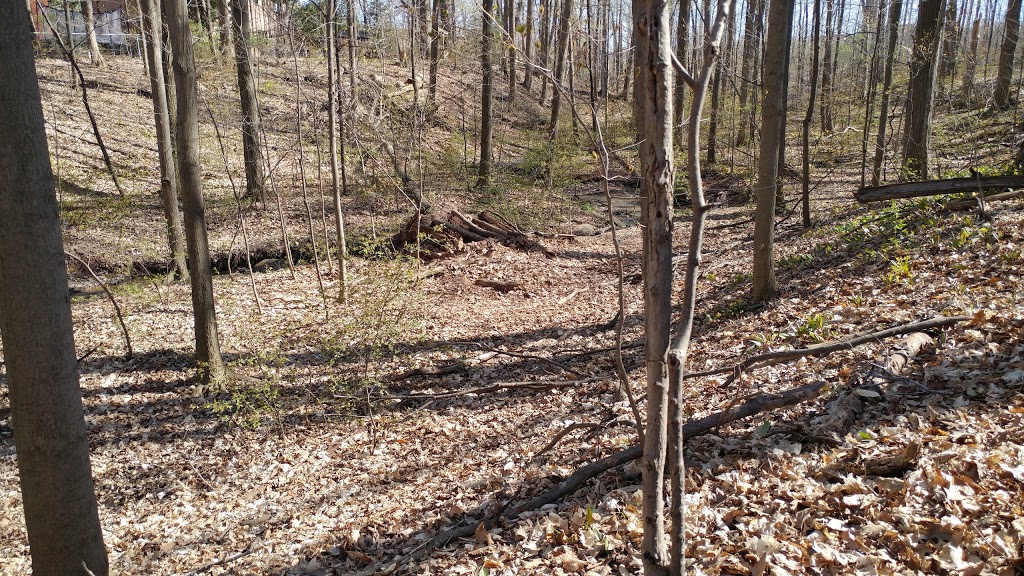 Turney Woods Park | 3G6, 5898 Turney Dr, Mississauga, ON L5M 3G4, Canada