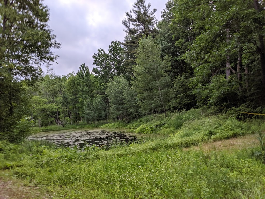 Paradise Leisure Park | 17 Chemin Wilson, Campbells Bay, QC J0X 1K0, Canada | Phone: (819) 647-8356