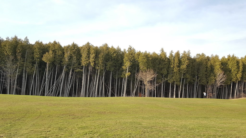 Lakeridge Links Golf Club | 1355 Brawley Rd W, Whitby, ON L1M 1N1, Canada | Phone: (905) 428-6321