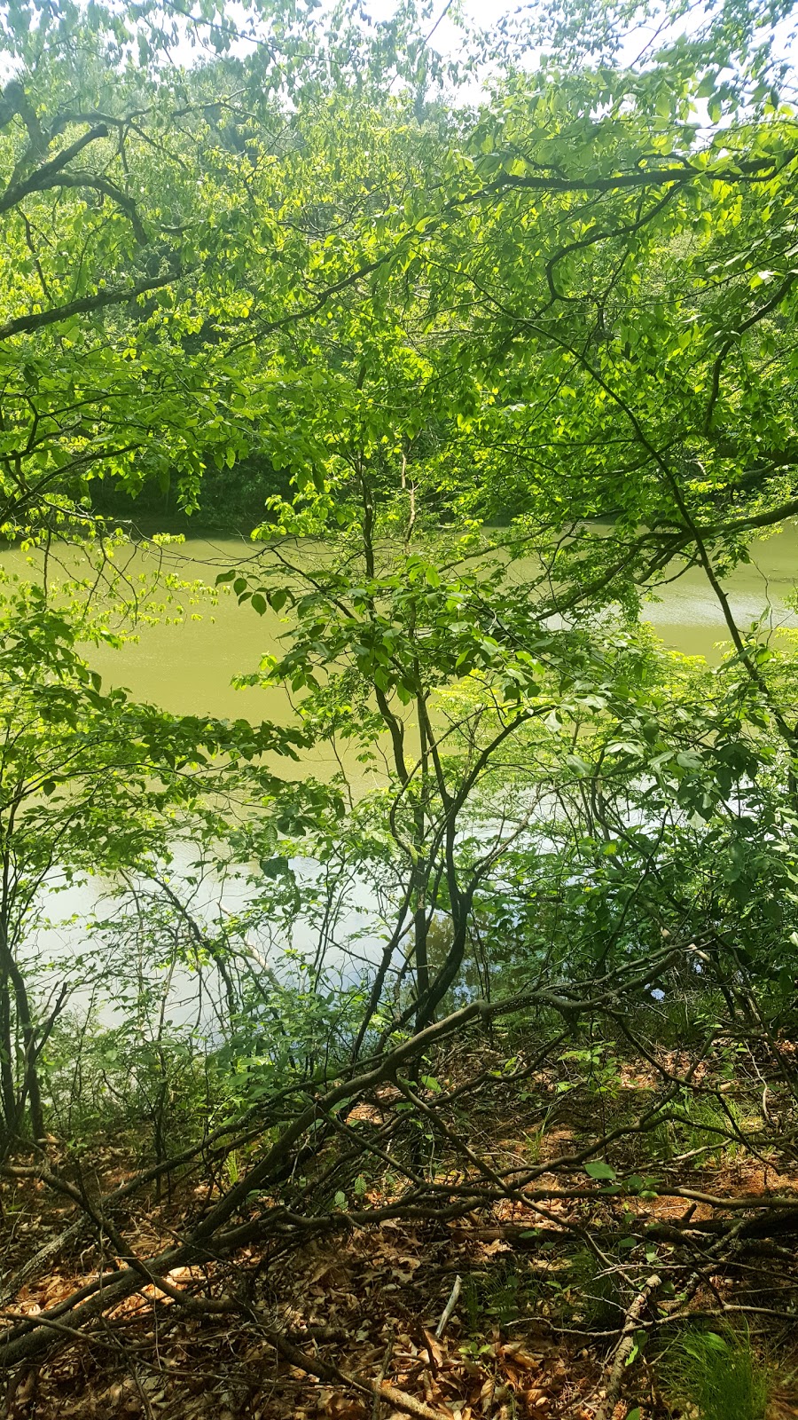 Hay Creek Conservation Area | 241 Port Ryerse Rd, Simcoe, ON N3Y 4K2, Canada