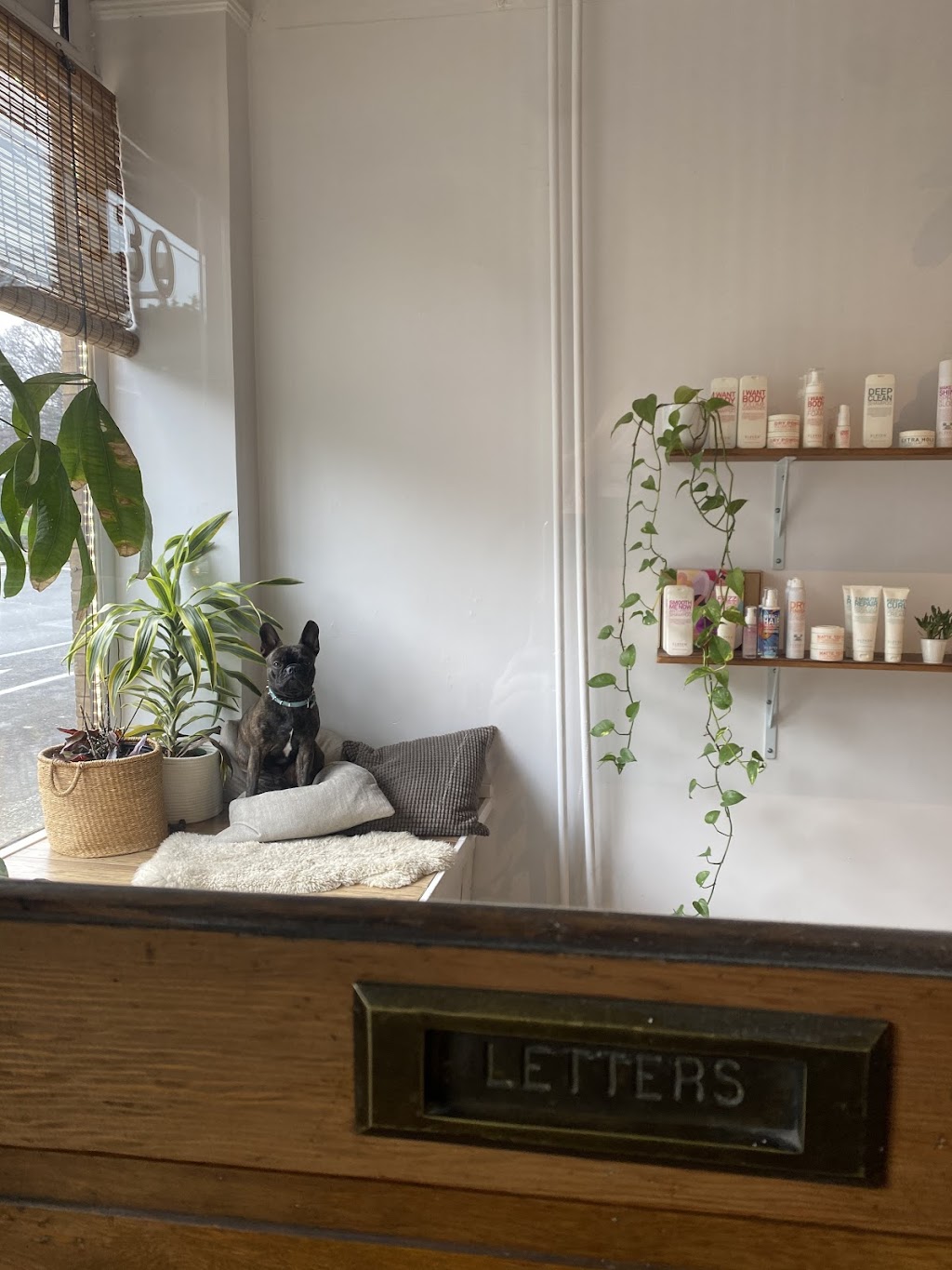 Carly Jones hairstylist | 1530 Pandora Ave, Victoria, BC V8R 1H9, Canada | Phone: (250) 532-0650