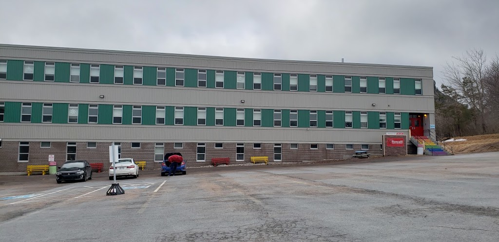 Roncalli Central High School | NL-63, Avondale, NL A0A 1B0, Canada | Phone: (709) 229-3381