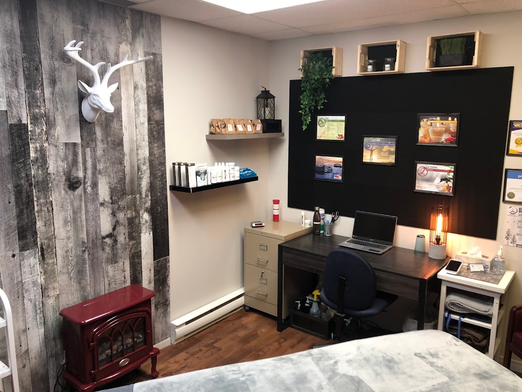 Massothérapie Vincent Asselin | 122 Bd Antonio-Barrette, Notre-Dame-des-Prairies, QC J6E 1E5, Canada | Phone: (450) 386-0281