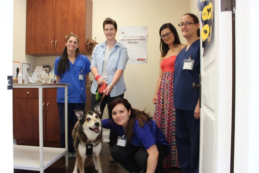 Cornwall Animal Hospital | 1495 Cornwall Rd #36, Oakville, ON L6J 0B2, Canada | Phone: (905) 842-8800