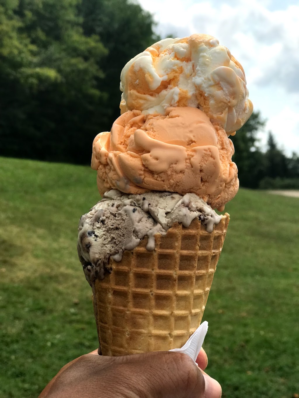 Kawartha Dairy Minden | 12750 ON-35, Minden, ON K0M 2K0, Canada | Phone: (705) 286-1080