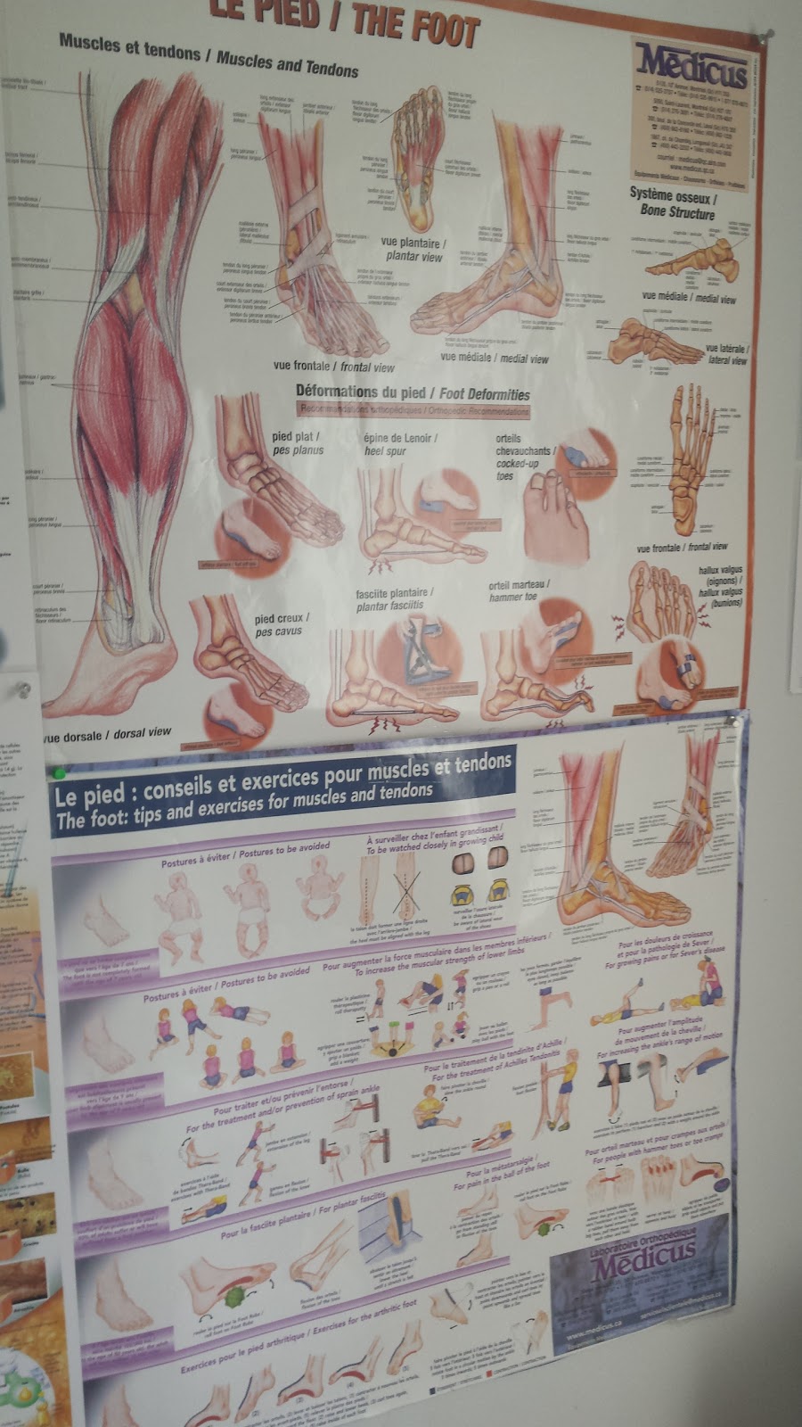 Chantal Gagnier : infirmière en soins de pieds | 12081 Avenue Desaulniers, Montréal-Nord, QC H1G 5J9, Canada | Phone: (514) 755-8082