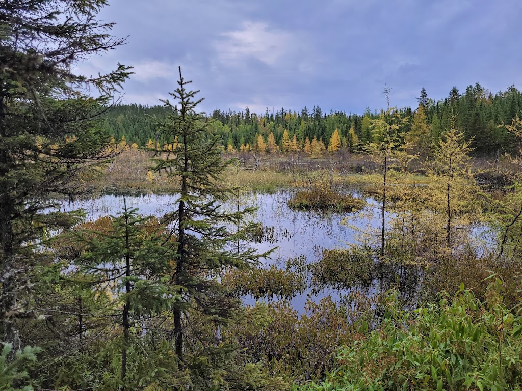 Pourvoirie du Lac Lareau | 1 chemin du lac Lareau, La Tuque, QC G0X 1R0, Canada | Phone: (514) 664-2042