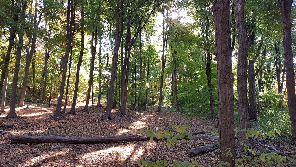 White Spruce Park | Brampton, ON L6Z 0B4, Canada | Phone: (647) 892-8970