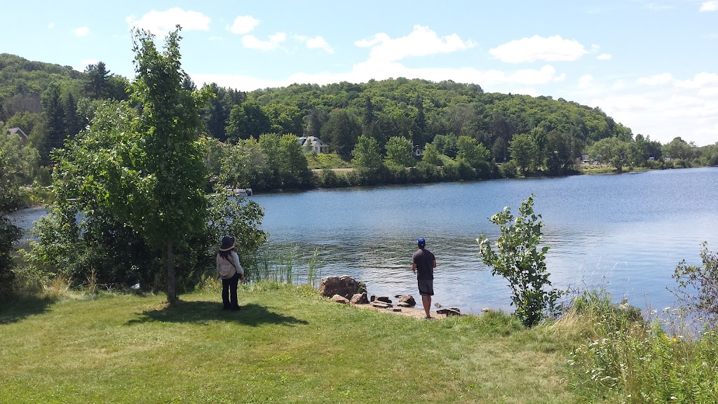 Haliburton County Farmers Market | 2 Park St, Haliburton, ON K0M 1S0, Canada | Phone: (705) 306-0523