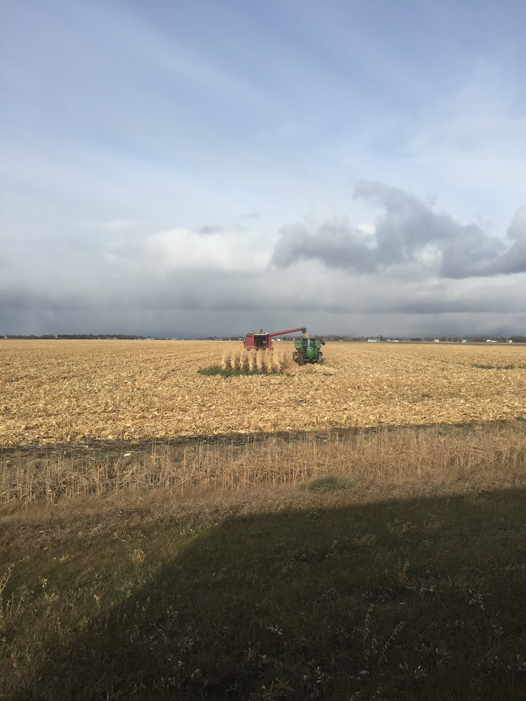 Laingspring Farm Ltd. | 35074 Road 38 N, Blumenort, MB R0A 0C1, Canada | Phone: (204) 346-3286