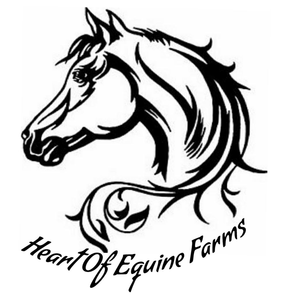 Boarding,lessions,breeding,training | 3769 hwy 6, Amherst, NS B4H 3Y2, Canada | Phone: (902) 669-2427