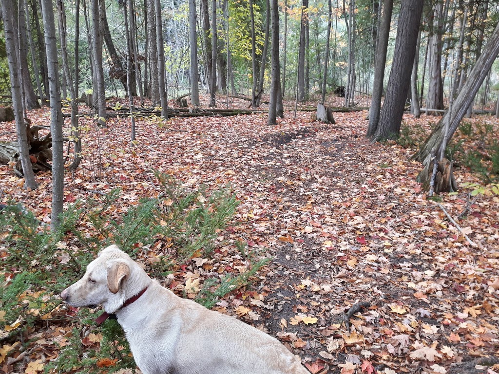Bowmanville Valley Conservation Area | Hampton, ON L0B 1J0, Canada | Phone: (905) 623-3379