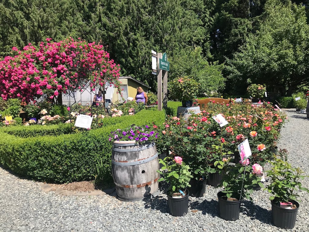 Select Roses LTD | 22771 38 Ave, Langley, BC V2Z 2G9, Canada | Phone: (604) 530-5786