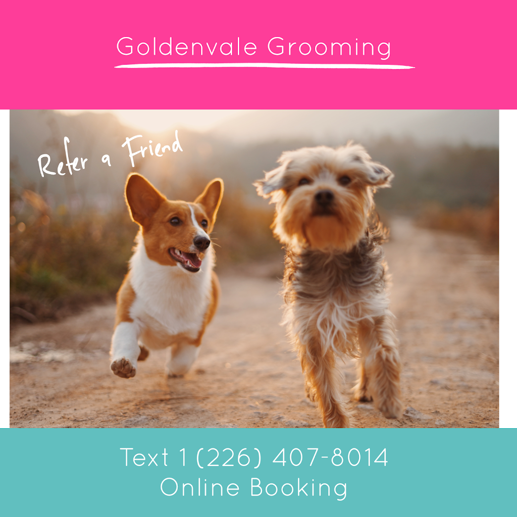 Goldenvale Grooming | 2866 Davis Dr, East Gwillimbury, ON L9N 0L3, Canada | Phone: (905) 954-1754