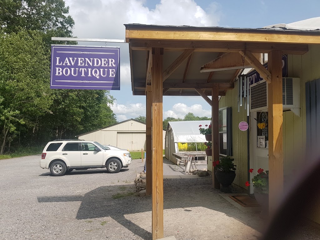 Laveanne | 8667 Gilmour Rd, Campbellcroft, ON L0A 1B0, Canada | Phone: (705) 201-1545