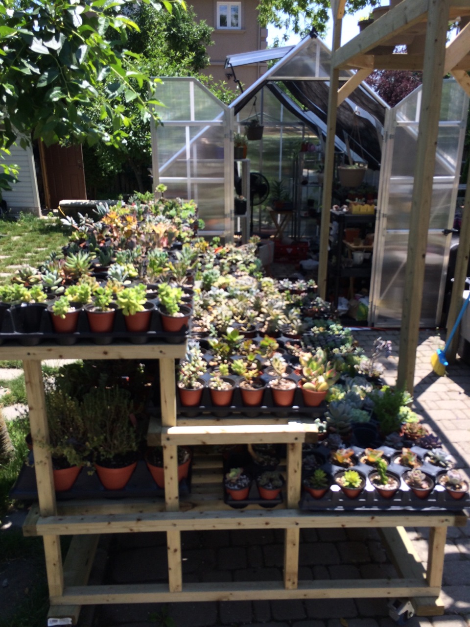 nVi Garden | 129 Byng Ave, North York, ON M2N 4K6, Canada | Phone: (647) 588-0604