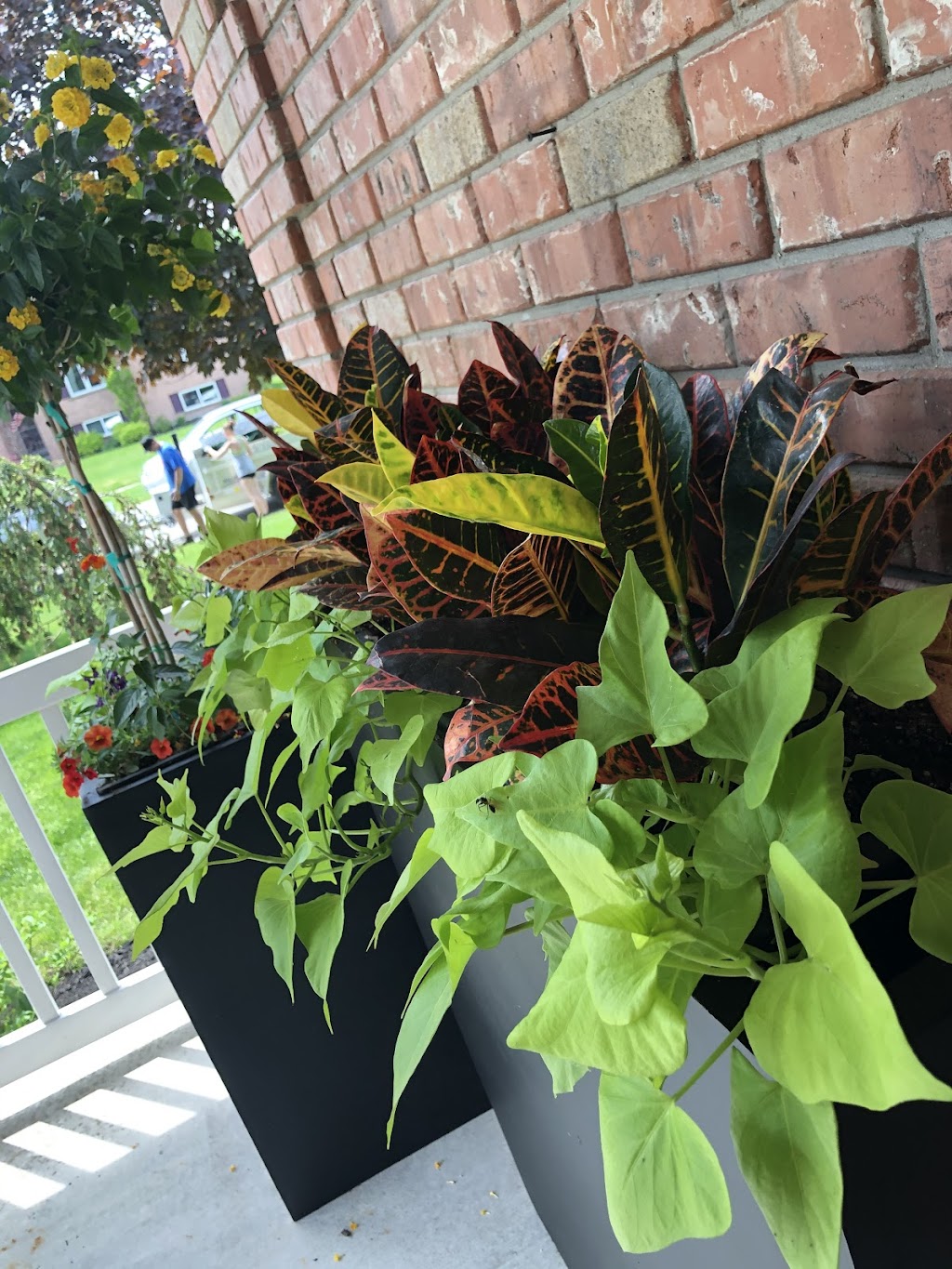 Helenas Gardening | 68 Nelson St, Mitchell, ON N0K 1N0, Canada | Phone: (519) 276-1749