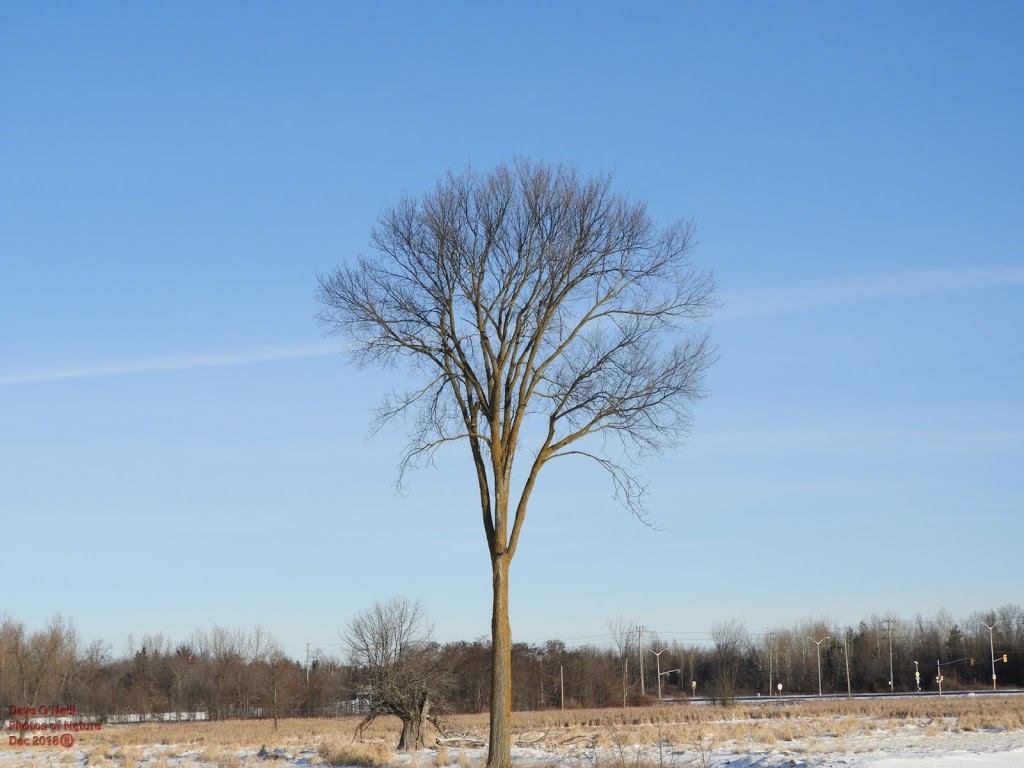 Greenbelt Trail 10 | Carling Ave, Ottawa, ON K2H 8B2, Canada