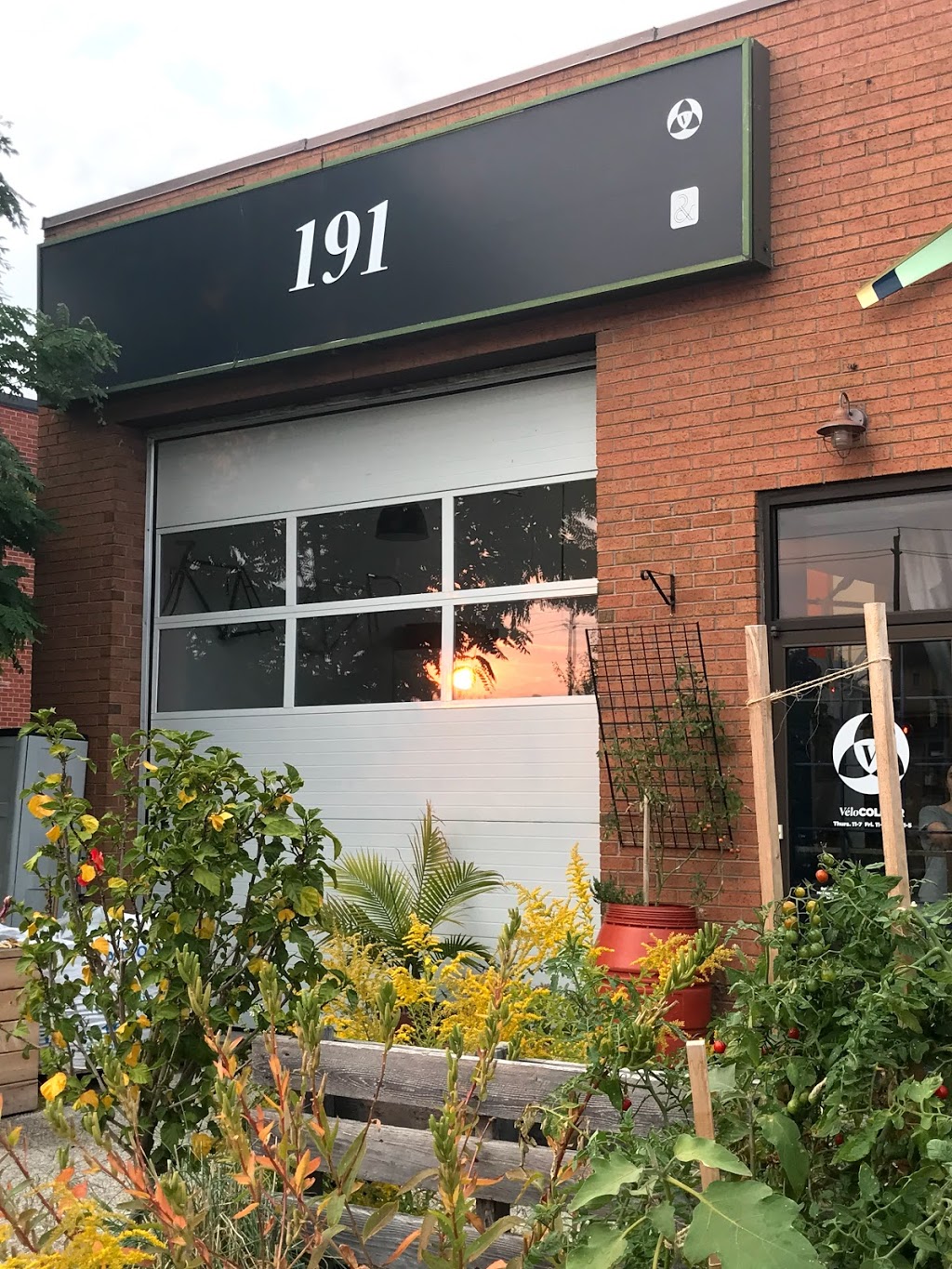 VéloColour | 191 Weston Rd, Toronto, ON M6N 3P1, Canada | Phone: (416) 766-8356