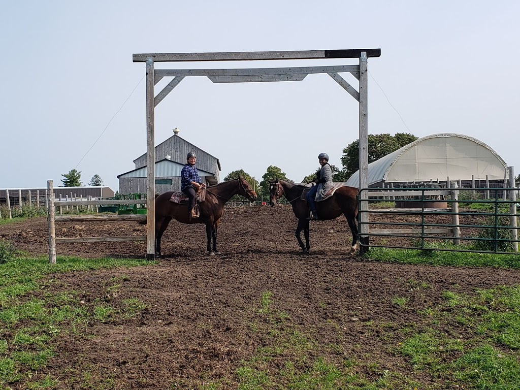 Westview Stables | 313662 ON-6, West Grey, ON N0G, Canada | Phone: (226) 668-0538