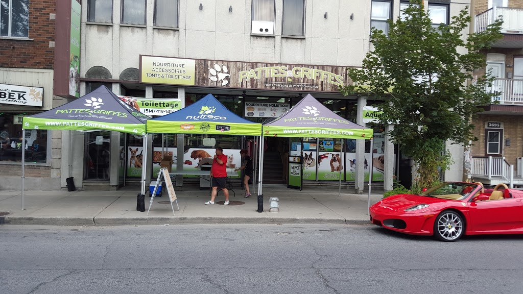 Paws and Claws | 3683 Rue Hochelaga, Montréal, QC H1W 1J2, Canada | Phone: (514) 419-1414