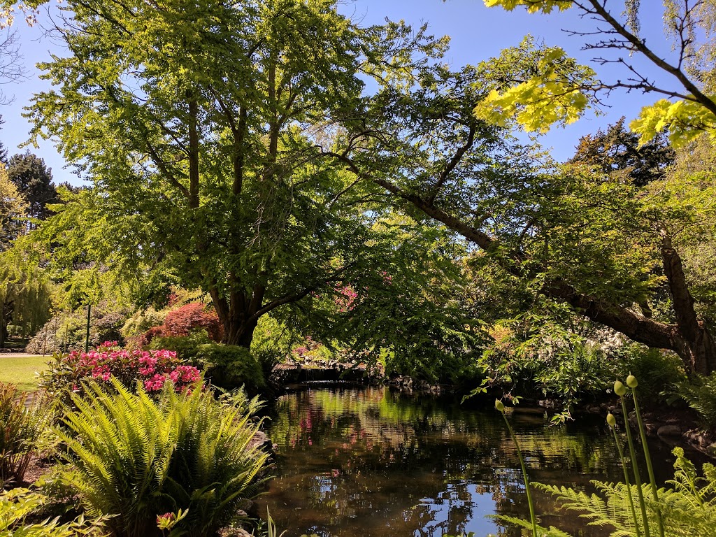 Beacon Hill Park | 100 Cook St, Victoria, BC V8V, Canada | Phone: (250) 361-0600
