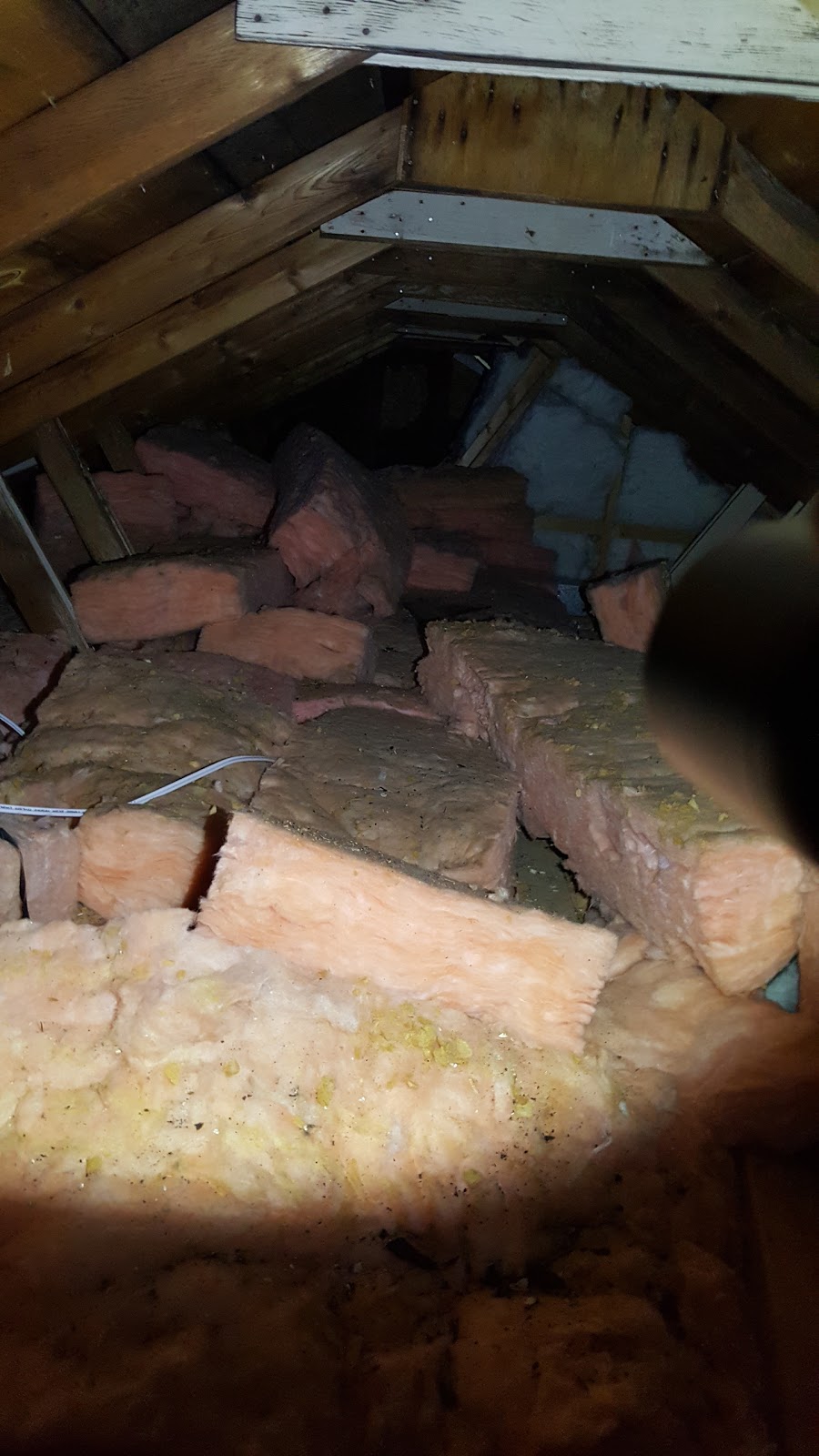 Cox Creek Home Inspections | 596 Red Deer St, Newmarket, ON L3Y 1A9, Canada | Phone: (416) 990-4712