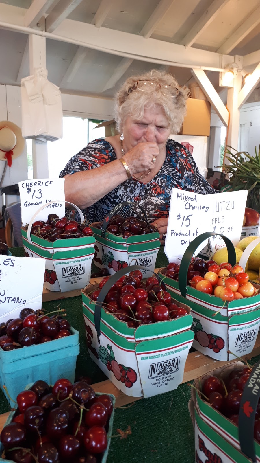 Niagara Quality Fruit | 667 Regional Rd 87, Niagara-on-the-Lake, ON L0S 1J0, Canada | Phone: (905) 347-3700